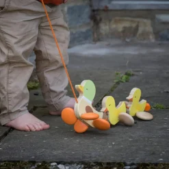 Classic World - Paddling Pull Along Duck