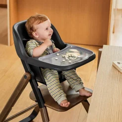 Ergobaby Evolve 2-in-1 Highchair - Dark Wood