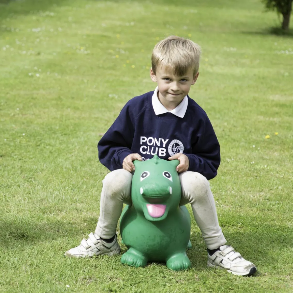 Happy Hopperz - Green Dino