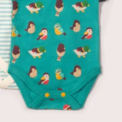 Little Green Radicals - Garden Birds Organic Baby Bodysuit Set - 2 Pack