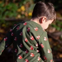 Little Green Radicals - Little Fox Organic T-Shirt & Jogger Playset