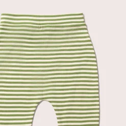 Little Green Radicals - Little Fox Organic T-Shirt & Jogger Playset