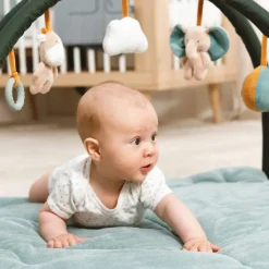 Nattou - Luna And Axel Baby Gym and Playmat