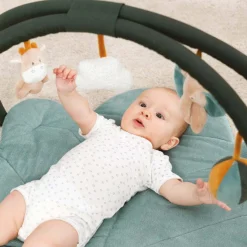 Nattou - Luna And Axel Baby Gym and Playmat