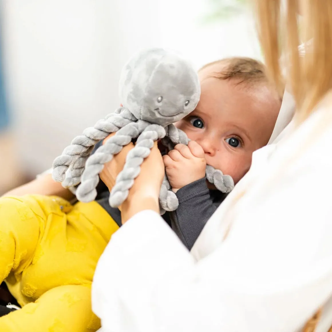 Nattou - Piu Piu Octopus Grey