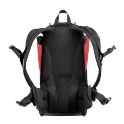 Phil & Teds Parade™ Back Carrier - Red