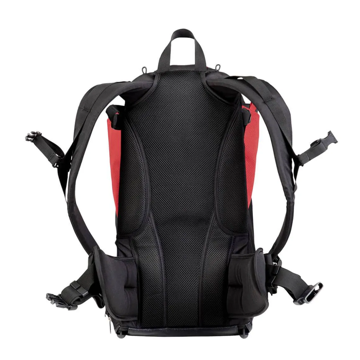 Phil & Teds Parade™ Back Carrier - Red