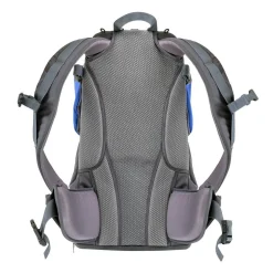Phil & Teds Parade™ Back Carrier - Blue