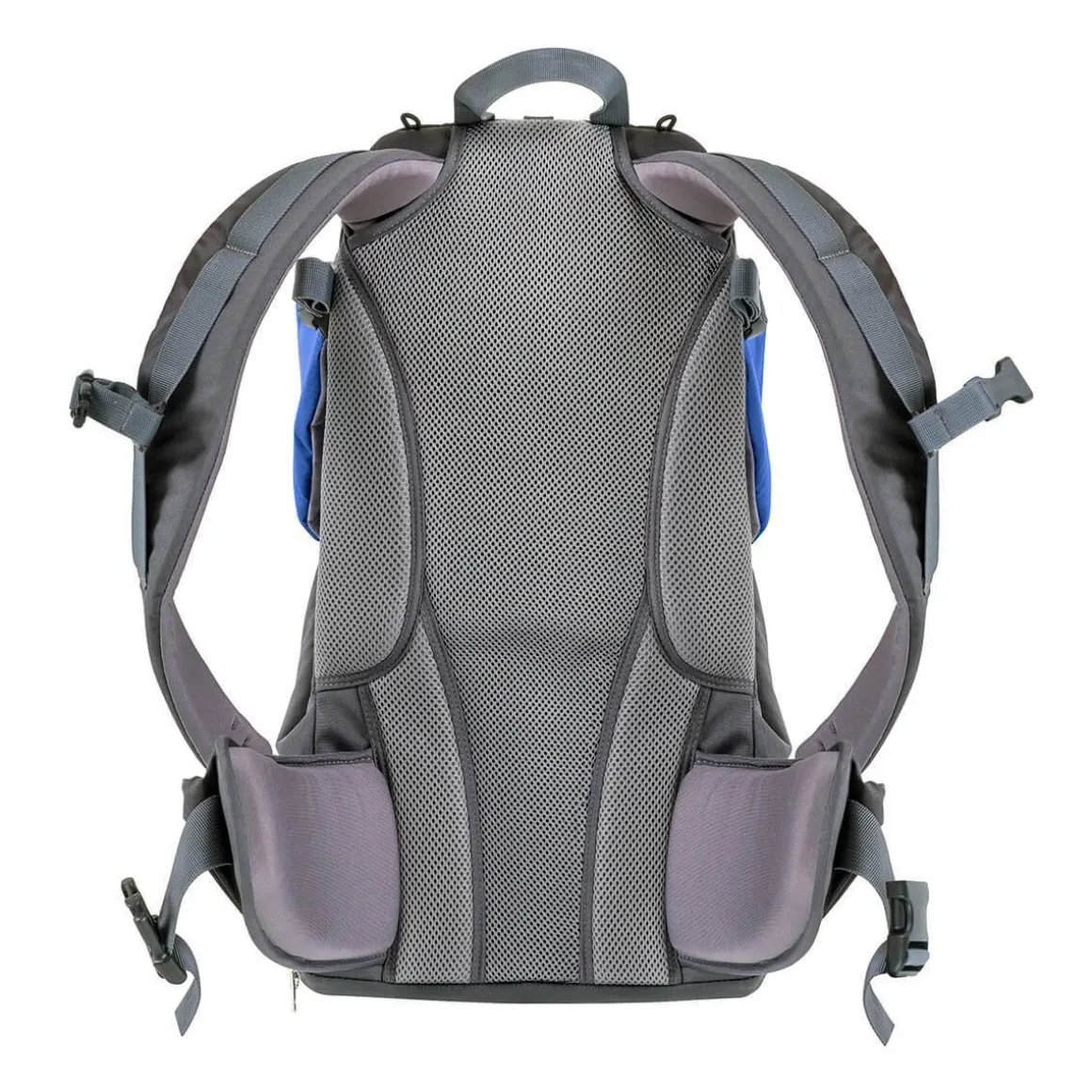 Phil & Teds Parade™ Back Carrier - Blue