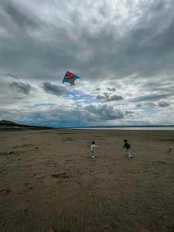 Vilac - Giant Fish Kite