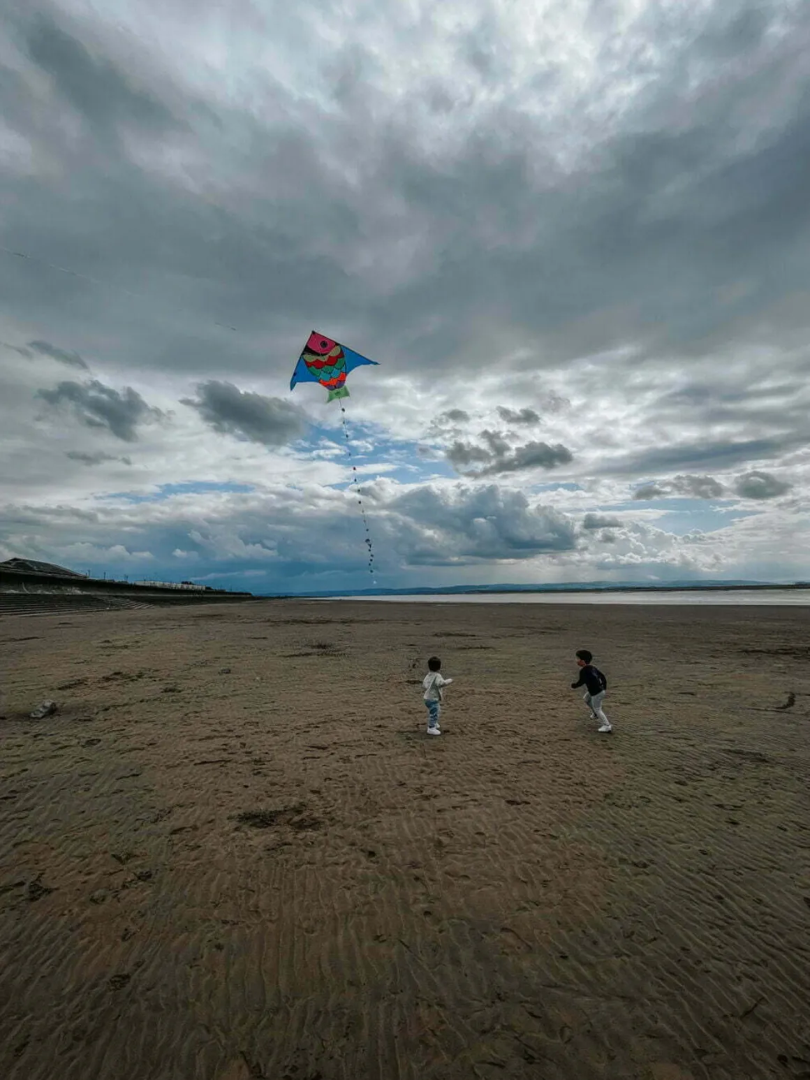 Vilac - Giant Fish Kite